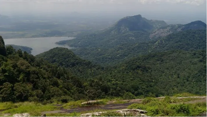 Nelliyampathy Hills 